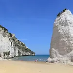 Riva 게스트하우스 비에스테